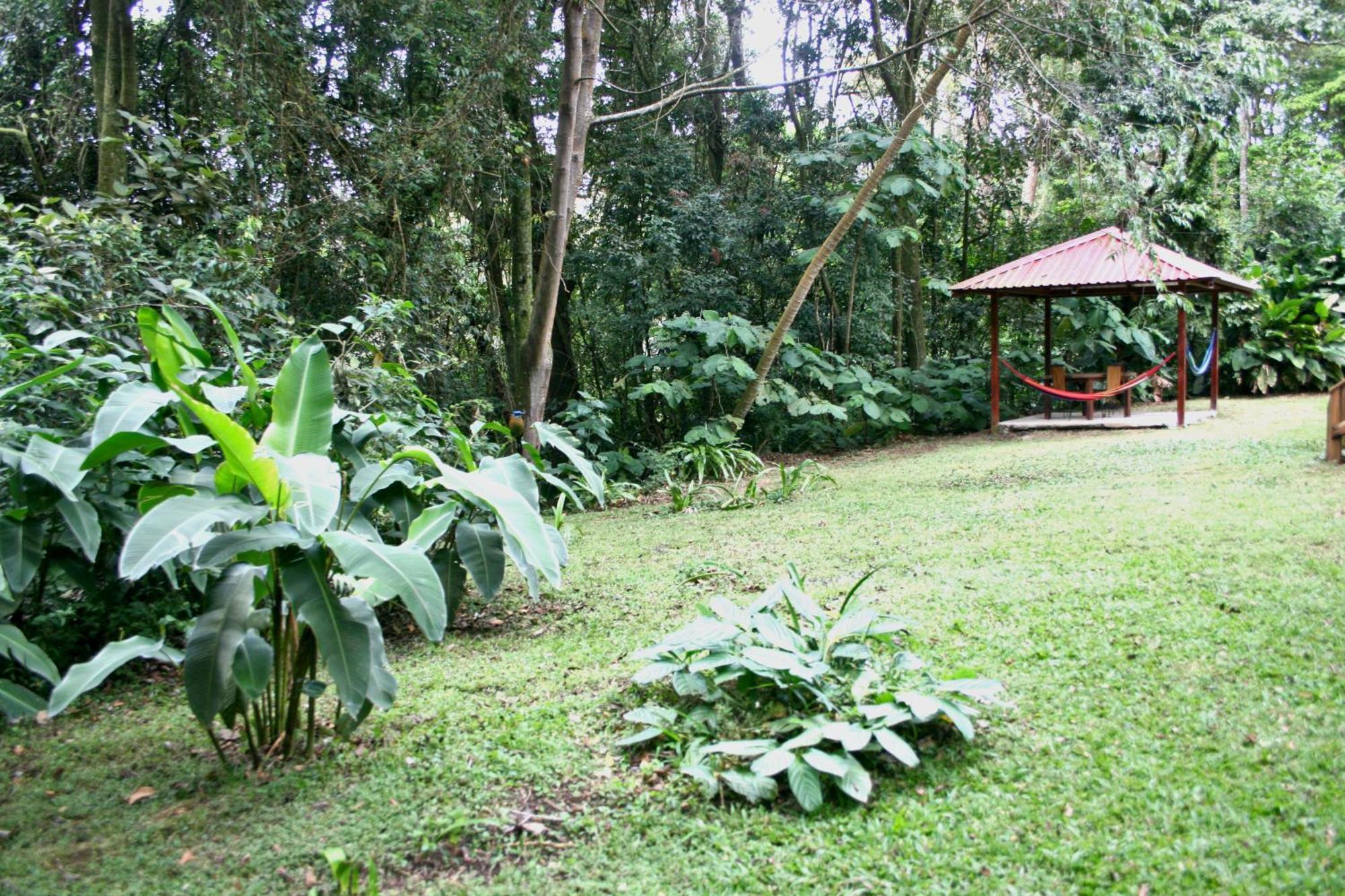 森林花园度假屋 Monteverde 外观 照片